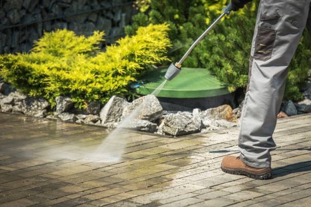 Animal Enclosure Cleaning in Gordon, PA